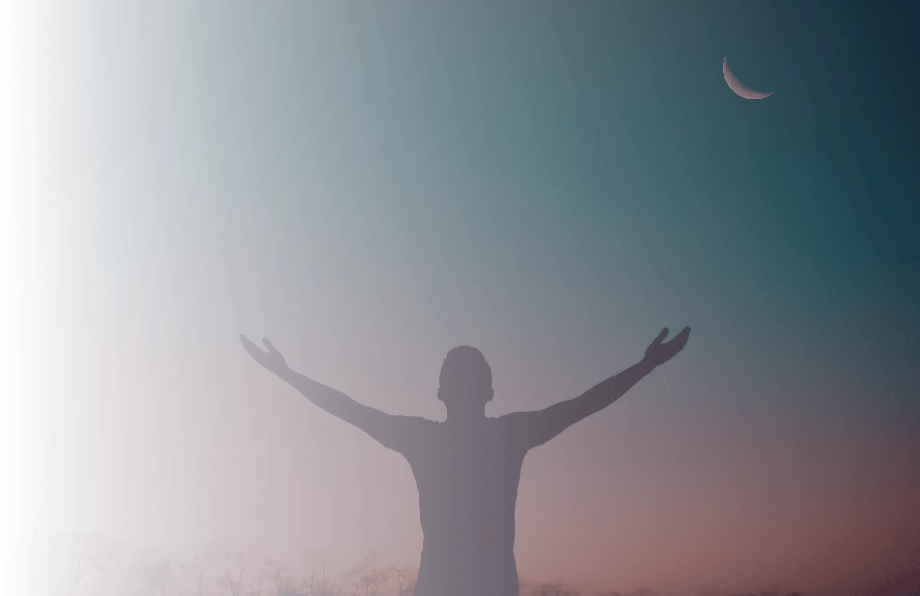 Section background image